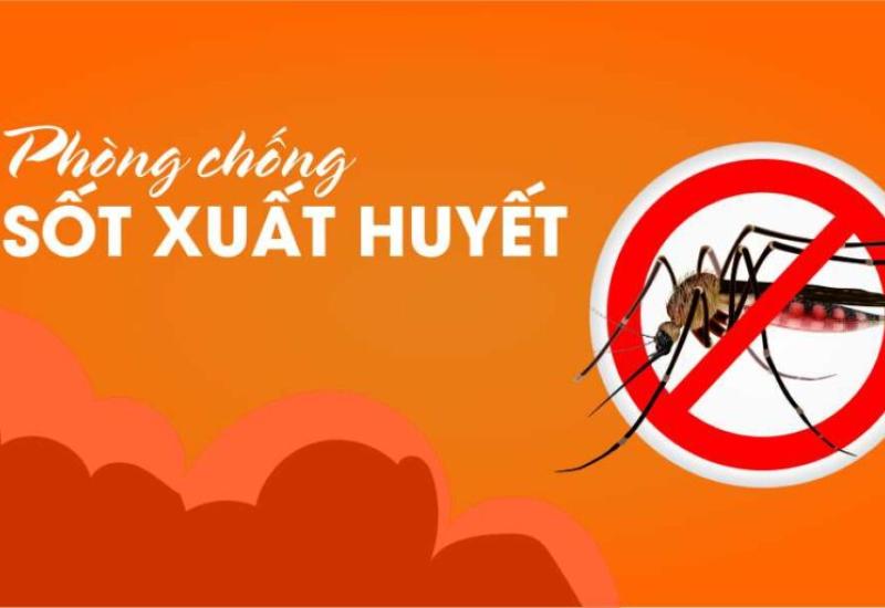 Phòng chống bệnh Sốt xuất huyết 